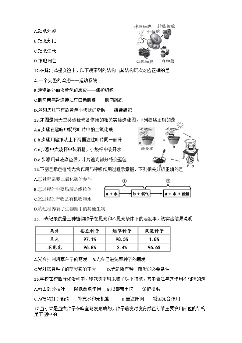 福建省泉州市科技中学2022-2023学年七年级上学期期末考试生物试题第2页