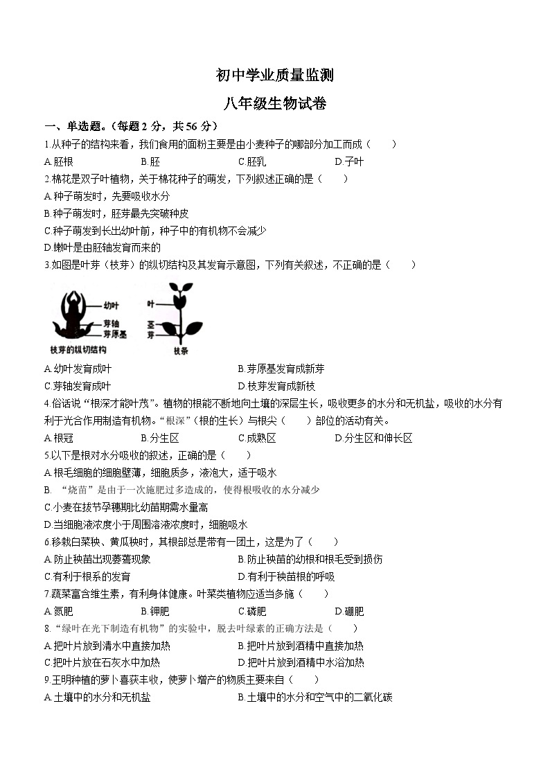 河北省邯郸市大名县2022-2023学年八年级下学期开学考试生物试题01