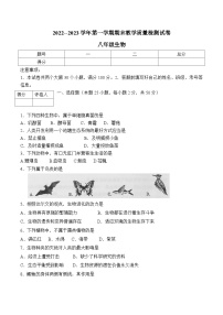 河南省洛阳市新安县2022-2023学年八年级上学期生物期末试卷