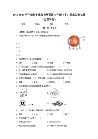 山东省威海市环翠区2022-2023学年七年级下学期期末生物试卷