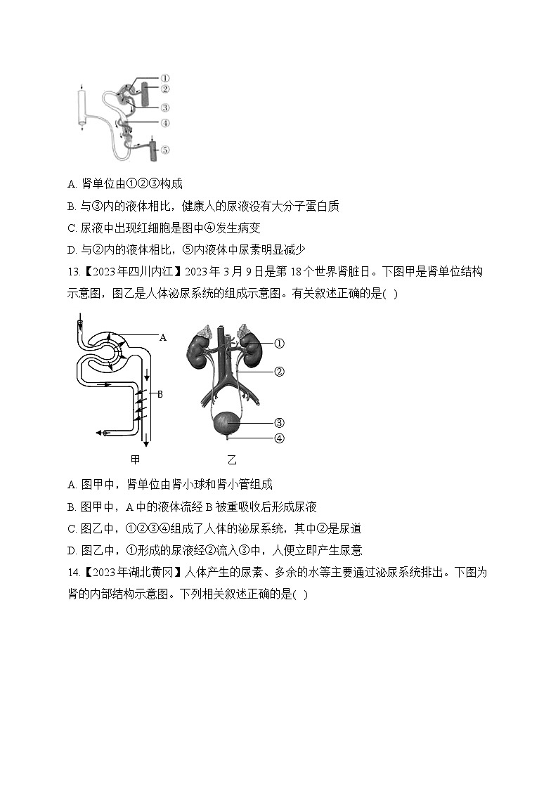 （8）人体的排泄——2023年中考生物真题专项汇编03