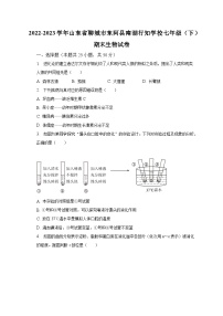 2022-2023学年山东省聊城市东阿县南湖行知学校七年级（下）期末生物试卷（含解析）