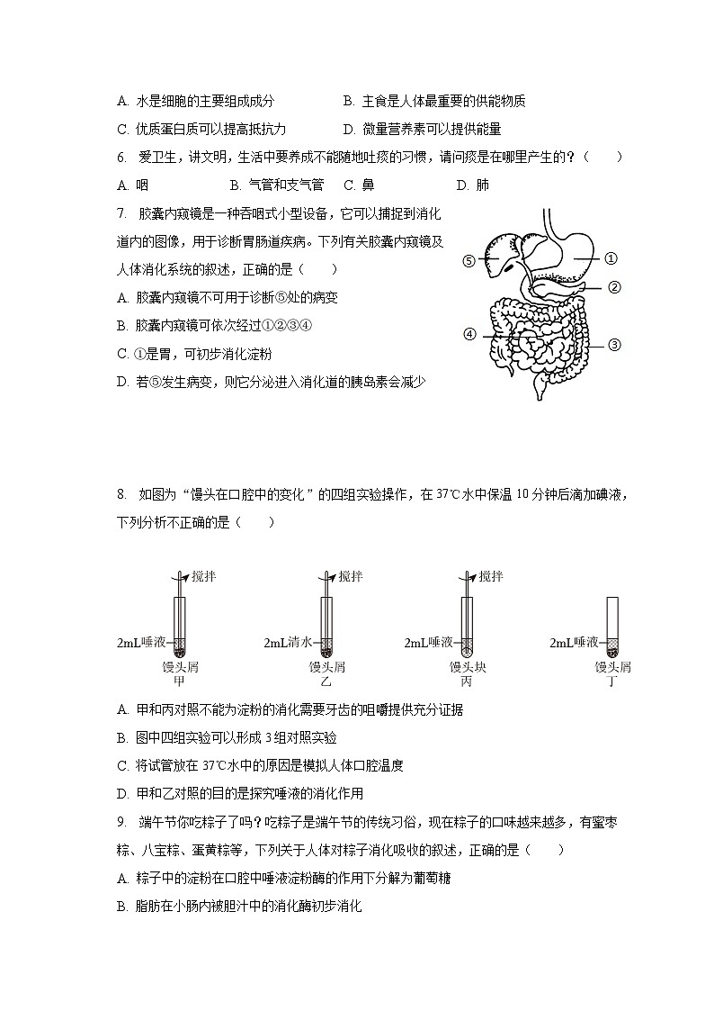 2022-2023学年山东省聊城市东昌府区七年级（下）期末生物试卷（含解析）02