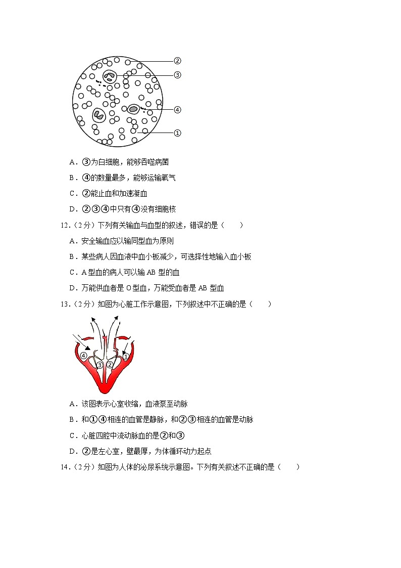 四川省绵阳市游仙区2022-2023学年七年级下学期期末生物试卷第3页