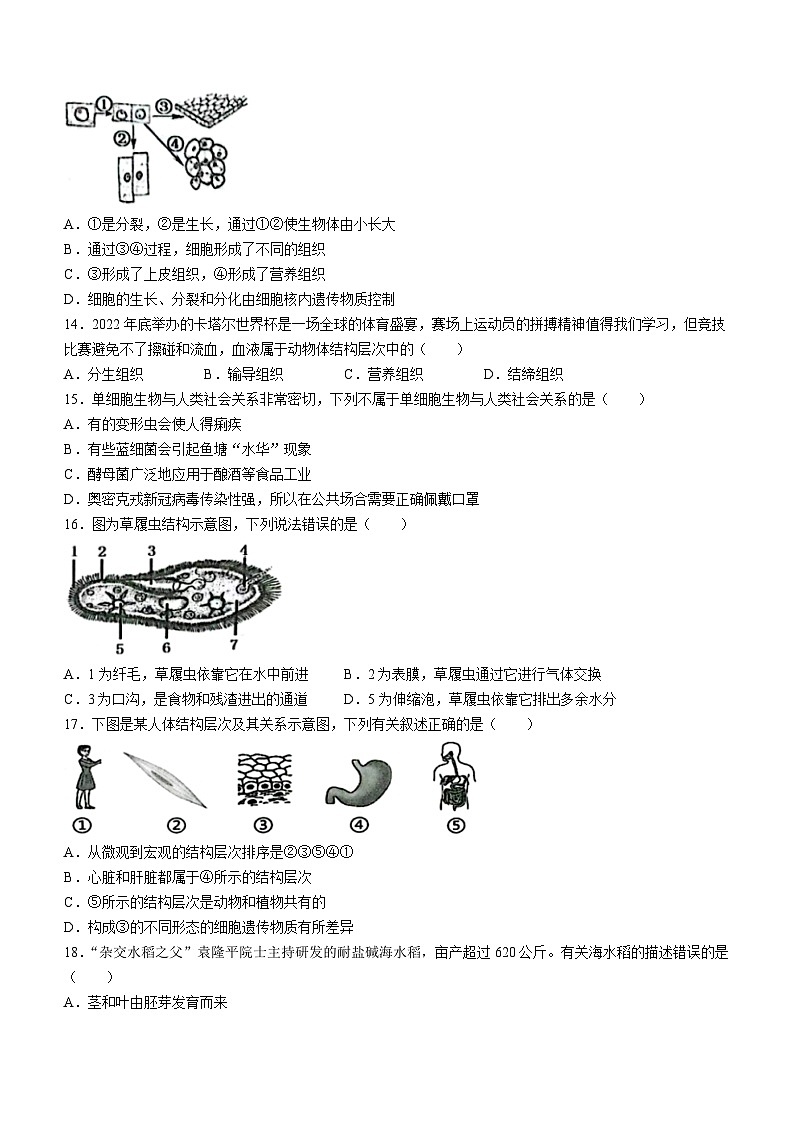 江苏省盐城市东台市2022-2023学年七年级下学期开学考试生物试题03