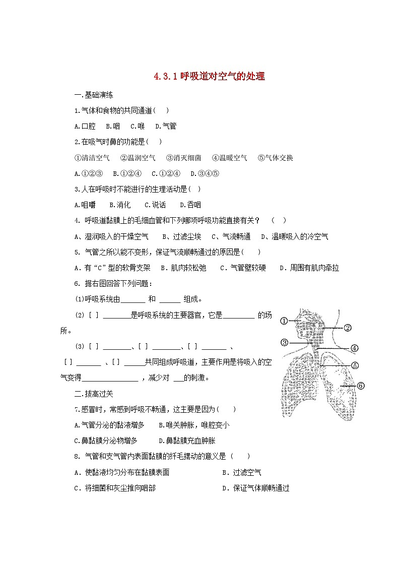 2023七年级生物下册第四单元生物圈中的人第三章人体的呼吸第一节呼吸道对空气的处理同步练习新版新人教版第1页