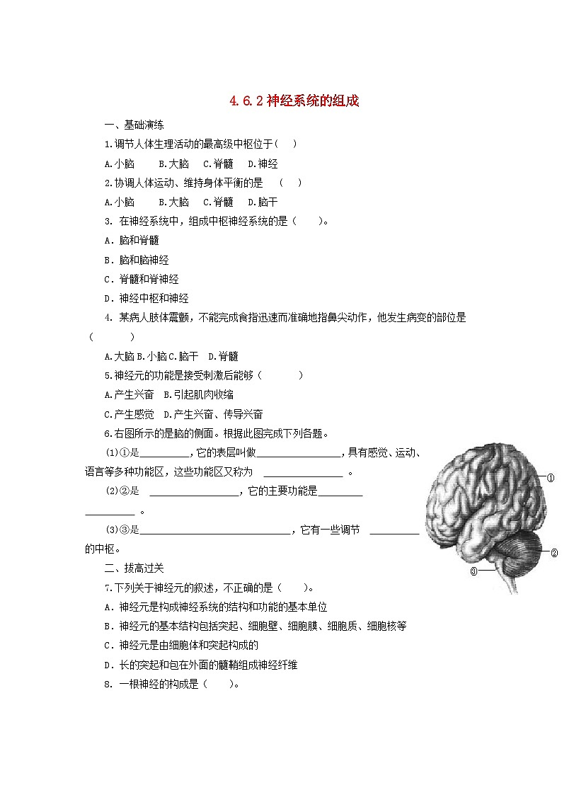 2023七年级生物下册第四单元生物圈中的人第六章人体生命活动的调节6.2神经系统的组成同步练习新版新人教版第1页