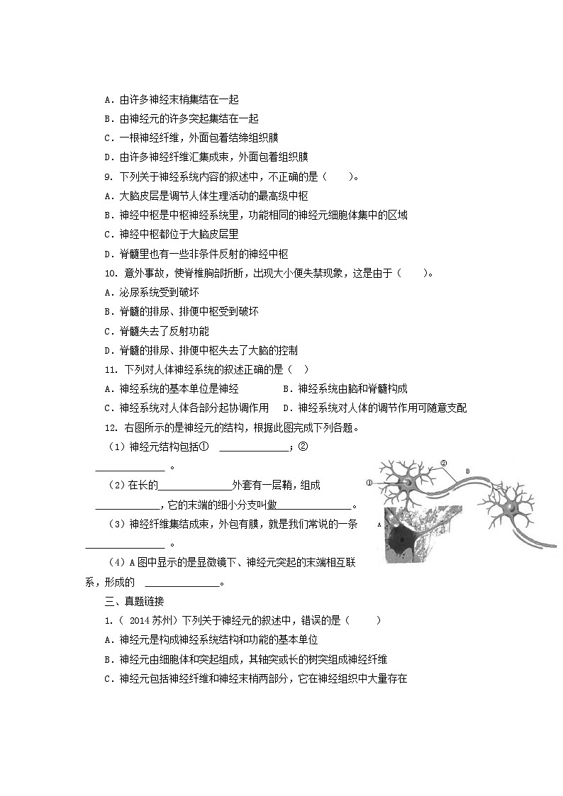 2023七年级生物下册第四单元生物圈中的人第六章人体生命活动的调节6.2神经系统的组成同步练习新版新人教版第2页