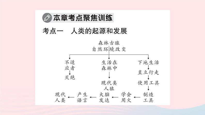 2023七年级生物下册第四单元生物圈中的人第一章人的由来总结训练作业课件新版新人教版第3页