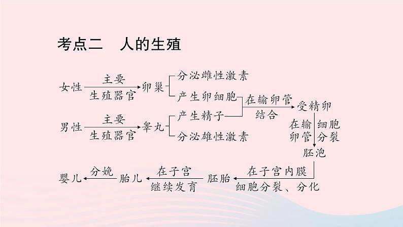 2023七年级生物下册第四单元生物圈中的人第一章人的由来总结训练作业课件新版新人教版第6页