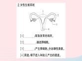 2023七年级生物下册第四单元生物圈中的人第一章人的由来第二节人的生殖作业课件新版新人教版