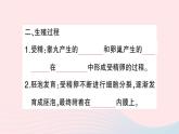 2023七年级生物下册第四单元生物圈中的人第一章人的由来第二节人的生殖作业课件新版新人教版
