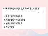 2023七年级生物下册第四单元生物圈中的人第一章人的由来综合训练作业课件新版新人教版