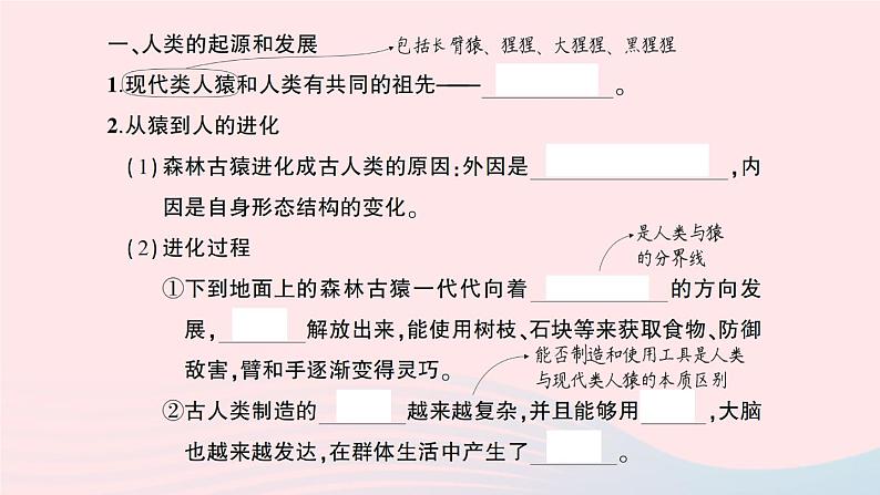 2023七年级生物下册第四单元生物圈中的人第一章人的由来重点题型突破作业课件新版新人教版02