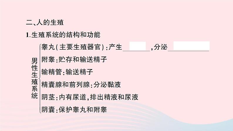 2023七年级生物下册第四单元生物圈中的人第一章人的由来重点题型突破作业课件新版新人教版03