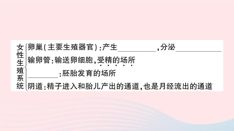 2023七年级生物下册第四单元生物圈中的人第一章人的由来重点题型突破作业课件新版新人教版04