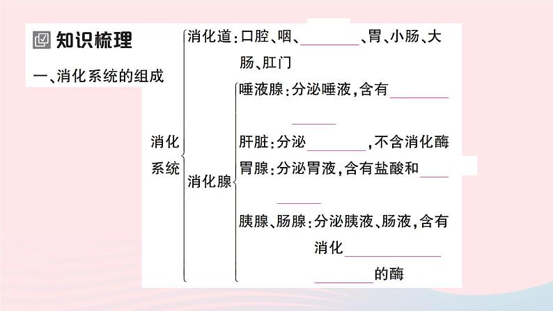 2023七年级生物下册第四单元生物圈中的人第二章人体的营养第二节消化和吸收第一课时食物的消化作业课件新版新人教版02