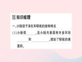 2023七年级生物下册第四单元生物圈中的人第二章人体的营养第二节消化和吸收第二课时营养物质的吸收作业课件新版新人教版