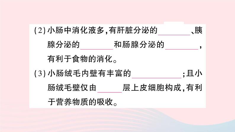 2023七年级生物下册第四单元生物圈中的人第二章人体的营养第二节消化和吸收第二课时营养物质的吸收作业课件新版新人教版03