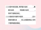 2023七年级生物下册第四单元生物圈中的人第二章人体的营养第二节消化和吸收第二课时营养物质的吸收作业课件新版新人教版