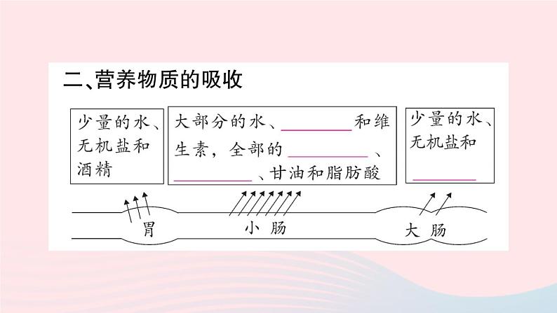 2023七年级生物下册第四单元生物圈中的人第二章人体的营养第二节消化和吸收第二课时营养物质的吸收作业课件新版新人教版04