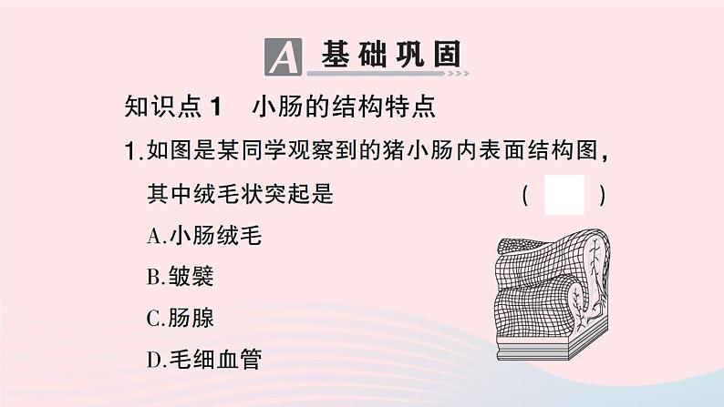 2023七年级生物下册第四单元生物圈中的人第二章人体的营养第二节消化和吸收第二课时营养物质的吸收作业课件新版新人教版05