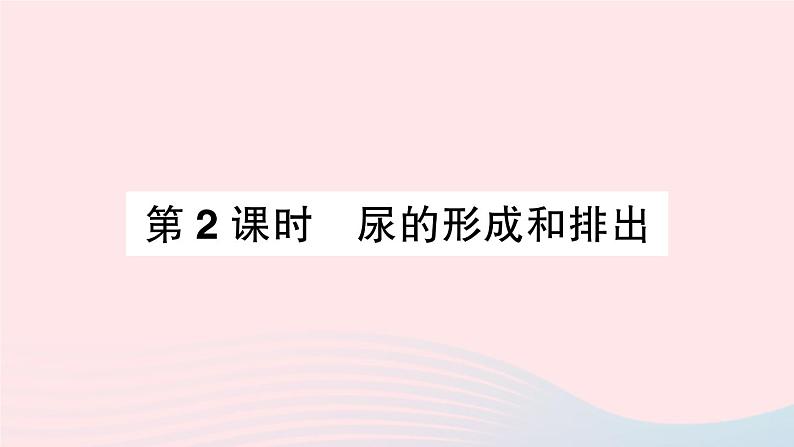 2023七年级生物下册第四单元生物圈中的人第五章人体内废物的排出第二课时尿的形成和排出作业课件新版新人教版01