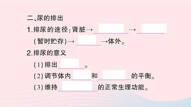 2023七年级生物下册第四单元生物圈中的人第五章人体内废物的排出第二课时尿的形成和排出作业课件新版新人教版04