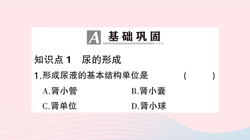 2023七年级生物下册第四单元生物圈中的人第五章人体内废物的排出第二课时尿的形成和排出作业课件新版新人教版05