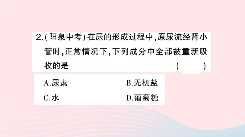 2023七年级生物下册第四单元生物圈中的人第五章人体内废物的排出第二课时尿的形成和排出作业课件新版新人教版06