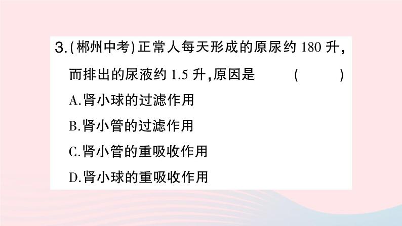 2023七年级生物下册第四单元生物圈中的人第五章人体内废物的排出第二课时尿的形成和排出作业课件新版新人教版07