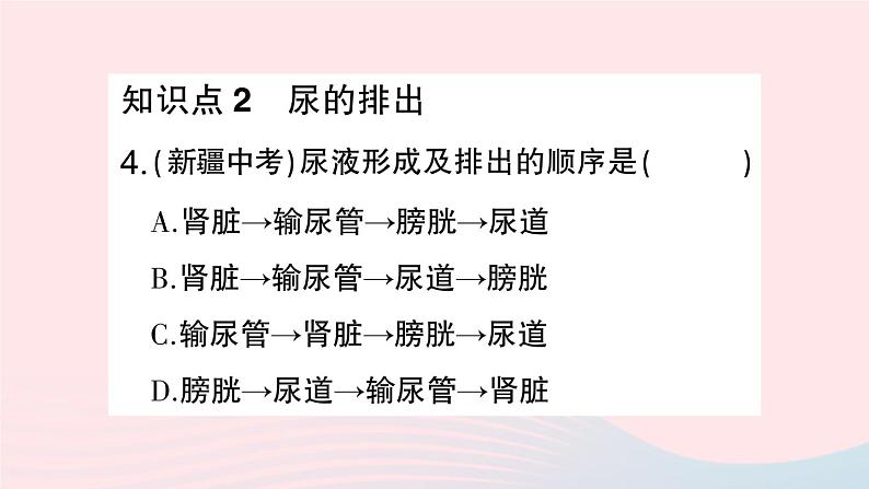 2023七年级生物下册第四单元生物圈中的人第五章人体内废物的排出第二课时尿的形成和排出作业课件新版新人教版08