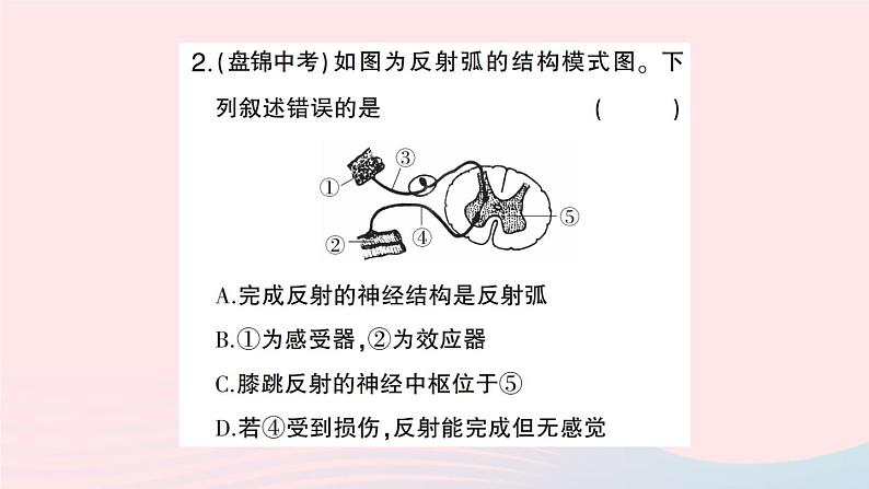 2023七年级生物下册第四单元生物圈中的人第六章人体生命活动的调节微专题二神经调节与激素调节作业课件新版新人教版04