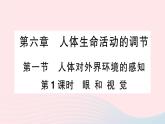 2023七年级生物下册第四单元生物圈中的人第六章人体生命活动的调节第一节人体对外界环境的感知第一课时眼和视觉作业课件新版新人教版