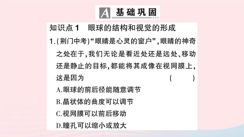 2023七年级生物下册第四单元生物圈中的人第六章人体生命活动的调节第一节人体对外界环境的感知第一课时眼和视觉作业课件新版新人教版第5页