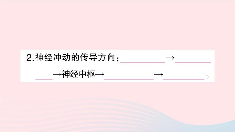 2023七年级生物下册第四单元生物圈中的人第六章人体生命活动的调节第三节神经调节的基本方式作业课件新版新人教版第4页