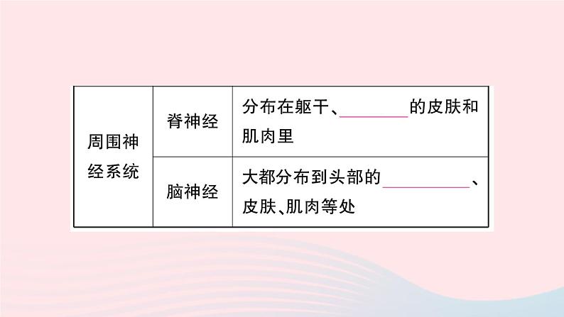 2023七年级生物下册第四单元生物圈中的人第六章人体生命活动的调节第二节神经系统的组成作业课件新版新人教版第4页