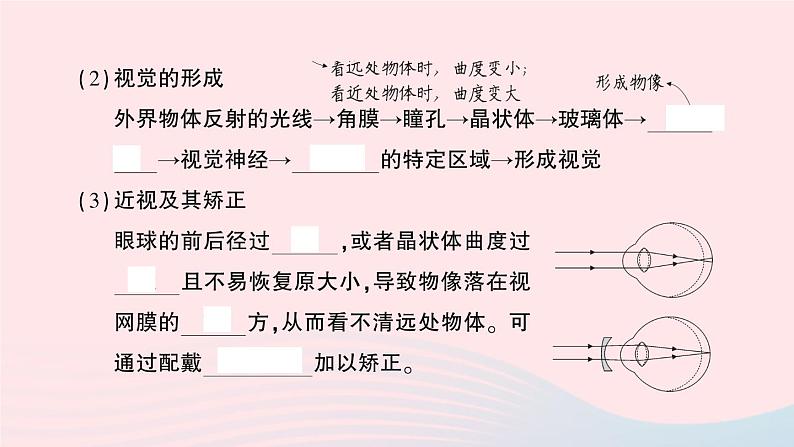 2023七年级生物下册第四单元生物圈中的人第六章人体生命活动的调节重点题型突破作业课件新版新人教版03