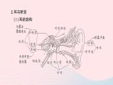 2023七年级生物下册第四单元生物圈中的人第六章人体生命活动的调节重点题型突破作业课件新版新人教版