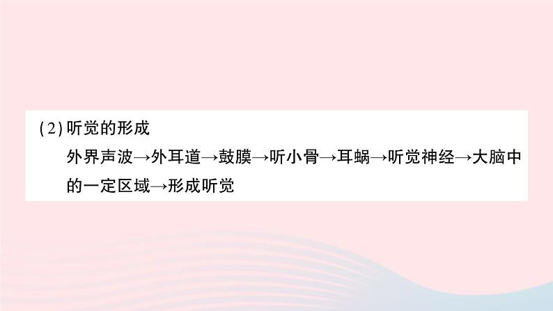 2023七年级生物下册第四单元生物圈中的人第六章人体生命活动的调节重点题型突破作业课件新版新人教版05