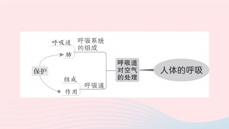 2023七年级生物下册第四单元生物圈中的人第二三章总结训练作业课件新版新人教版03