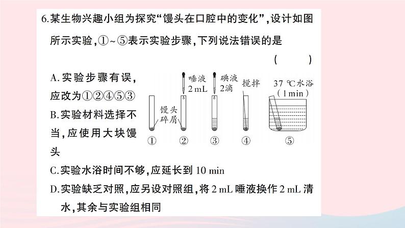 2023七年级生物下册第四单元生物圈中的人第二三章综合训练作业课件新版新人教版第7页