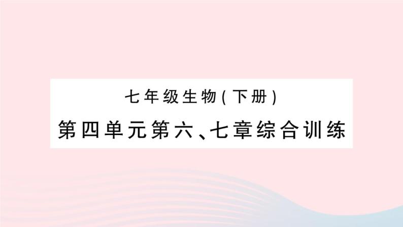 2023七年级生物下册第四单元生物圈中的人第六七章综合训练作业课件新版新人教版01