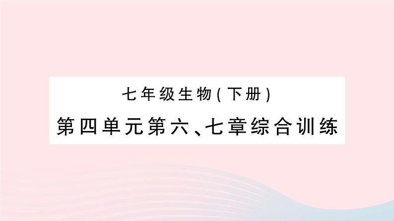 2023七年级生物下册第四单元生物圈中的人第六七章综合训练作业课件新版新人教版01