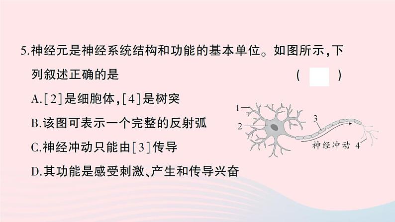 2023七年级生物下册第四单元生物圈中的人第六七章综合训练作业课件新版新人教版06