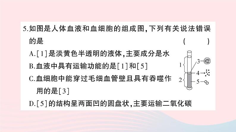 2023七年级生物下学期期末检测卷第四单元第一_七章作业课件新版新人教版05