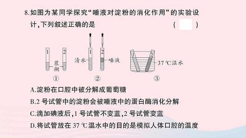 2023七年级生物下学期期末检测卷第四单元第一_七章作业课件新版新人教版07