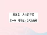 2023七年级生物下册第四单元生物圈中的人第三章人体的呼吸第一节呼吸道对空气的处理作业课件新版新人教版