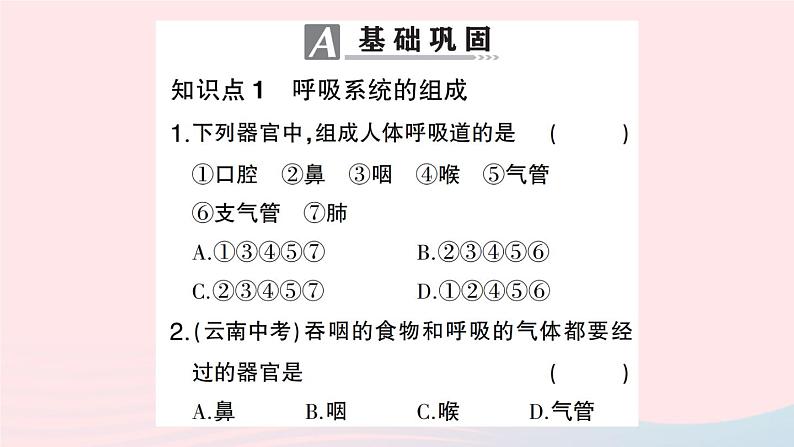 2023七年级生物下册第四单元生物圈中的人第三章人体的呼吸第一节呼吸道对空气的处理作业课件新版新人教版04