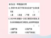 2023七年级生物下册第四单元生物圈中的人第三章人体的呼吸第一节呼吸道对空气的处理作业课件新版新人教版